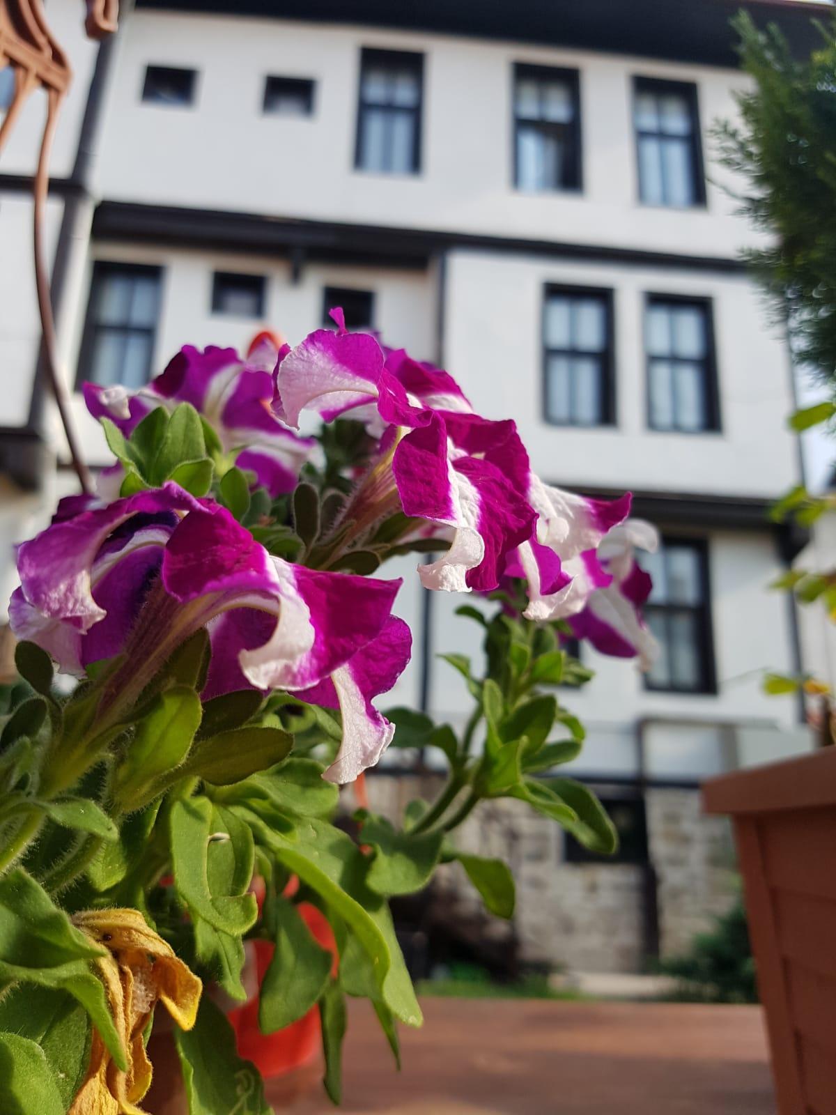 Kadioglu Konagi Hotel Kastamonu Ngoại thất bức ảnh